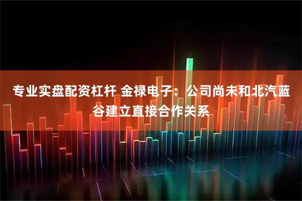 专业实盘配资杠杆 金禄电子：公司尚未和北汽蓝谷建立直接合作关系